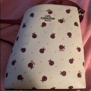 Coach small bucket ladybug purse